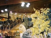 photos 2000-200901329